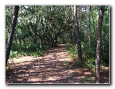 Jay-B-Starkey-Wilderness-Park-Pasco-County-FL-031