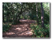 Jay-B-Starkey-Wilderness-Park-Pasco-County-FL-032