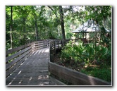 Jay-B-Starkey-Wilderness-Park-Pasco-County-FL-037