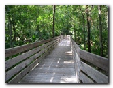 Jay-B-Starkey-Wilderness-Park-Pasco-County-FL-038