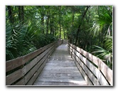 Jay-B-Starkey-Wilderness-Park-Pasco-County-FL-040