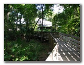 Jay-B-Starkey-Wilderness-Park-Pasco-County-FL-052