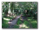 Jay-B-Starkey-Wilderness-Park-Pasco-County-FL-059