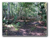 Jay-B-Starkey-Wilderness-Park-Pasco-County-FL-066
