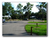 Jay-B-Starkey-Wilderness-Park-Pasco-County-FL-069