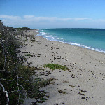 John D. MacArthur Beach State Park - North Palm Beach, FL
