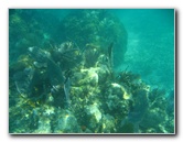 John-Pennekamp-Coral-Reef-Park-Snorkeling-Tour-103