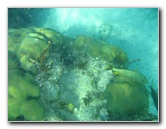 John-Pennekamp-Coral-Reef-Park-Snorkeling-Tour-115