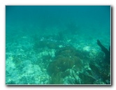 John-Pennekamp-Coral-Reef-Park-Snorkeling-Tour-213