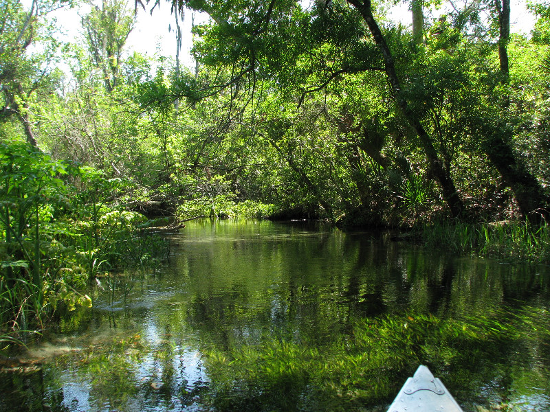 Juniper-Springs-Canoe-Run-Ocala-National-Forest-FL-006