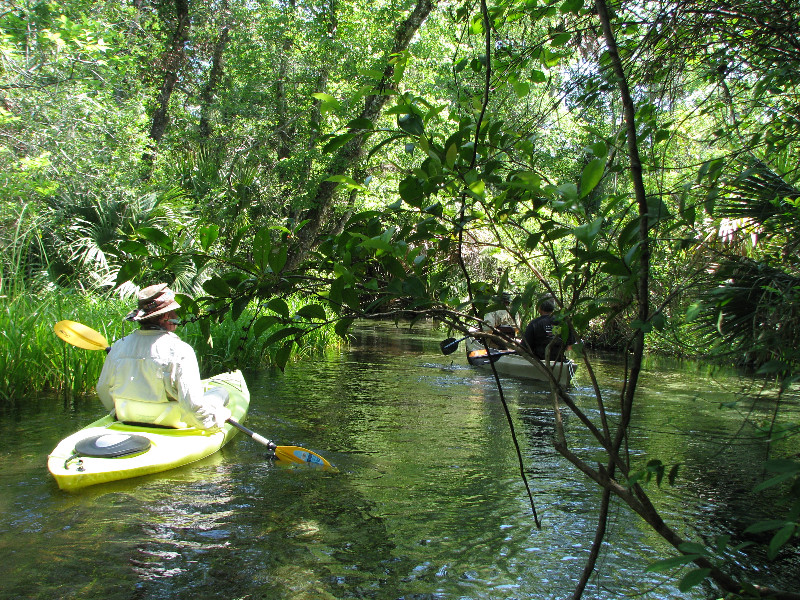 Juniper-Springs-Canoe-Run-Ocala-National-Forest-FL-008