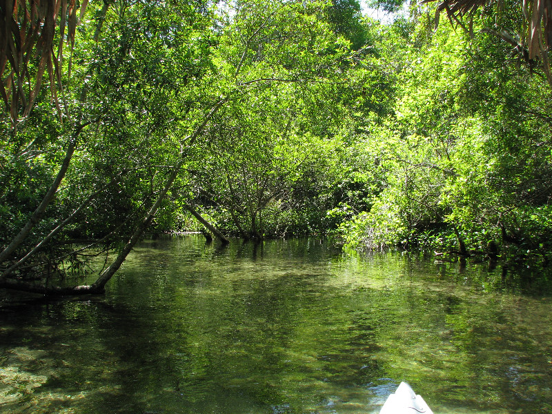 Juniper-Springs-Canoe-Run-Ocala-National-Forest-FL-010
