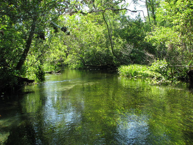 Juniper-Springs-Canoe-Run-Ocala-National-Forest-FL-017