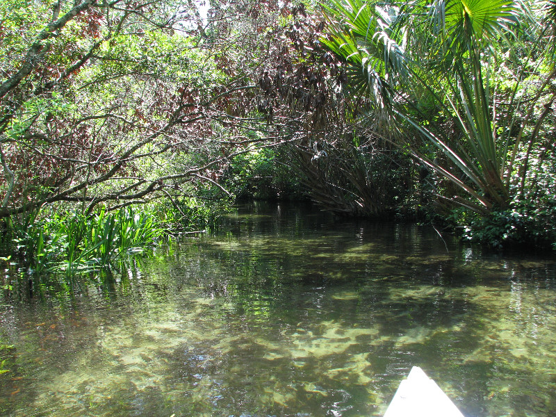 Juniper-Springs-Canoe-Run-Ocala-National-Forest-FL-024