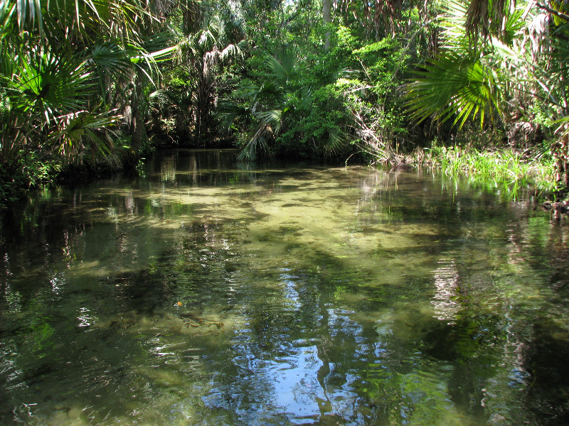Juniper-Springs-Canoe-Run-Ocala-National-Forest-FL-030