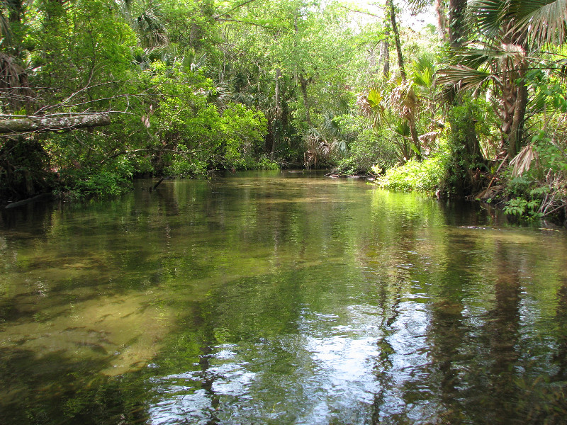 Juniper-Springs-Canoe-Run-Ocala-National-Forest-FL-037