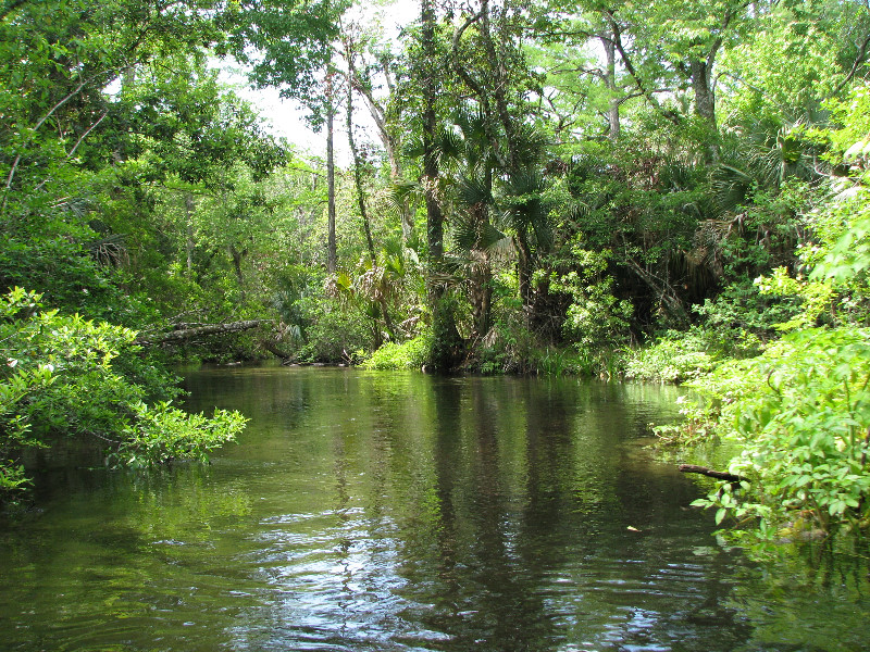 Juniper-Springs-Canoe-Run-Ocala-National-Forest-FL-038