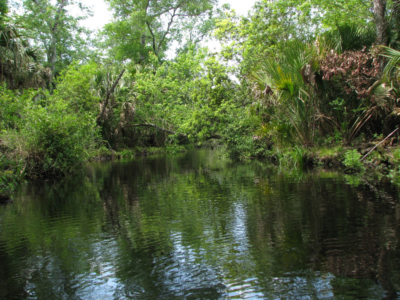 Juniper-Springs-Canoe-Run-Ocala-National-Forest-FL-047