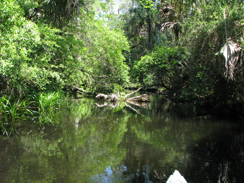 Juniper-Springs-Canoe-Run-Ocala-National-Forest-FL-054