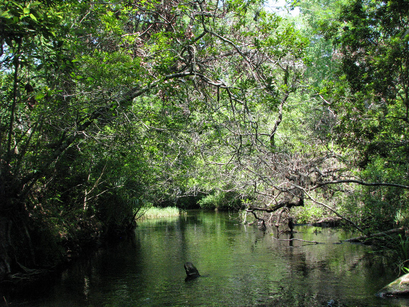 Juniper-Springs-Canoe-Run-Ocala-National-Forest-FL-059