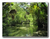 Juniper-Springs-Canoe-Run-Ocala-National-Forest-FL-009