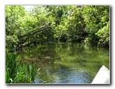 Juniper-Springs-Canoe-Run-Ocala-National-Forest-FL-020