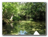 Juniper-Springs-Canoe-Run-Ocala-National-Forest-FL-025