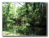 Juniper-Springs-Canoe-Run-Ocala-National-Forest-FL-026