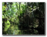 Juniper-Springs-Canoe-Run-Ocala-National-Forest-FL-031