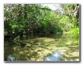 Juniper-Springs-Canoe-Run-Ocala-National-Forest-FL-036