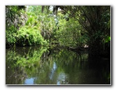Juniper-Springs-Canoe-Run-Ocala-National-Forest-FL-040