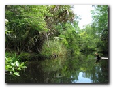 Juniper-Springs-Canoe-Run-Ocala-National-Forest-FL-044