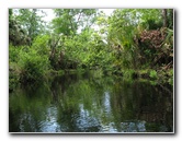 Juniper-Springs-Canoe-Run-Ocala-National-Forest-FL-047