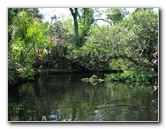 Juniper-Springs-Canoe-Run-Ocala-National-Forest-FL-050