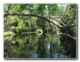 Juniper-Springs-Canoe-Run-Ocala-National-Forest-FL-051
