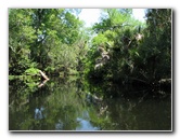 Juniper-Springs-Canoe-Run-Ocala-National-Forest-FL-052
