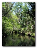 Juniper-Springs-Canoe-Run-Ocala-National-Forest-FL-056