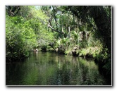 Juniper-Springs-Canoe-Run-Ocala-National-Forest-FL-057