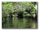 Juniper-Springs-Canoe-Run-Ocala-National-Forest-FL-058