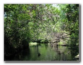 Juniper-Springs-Canoe-Run-Ocala-National-Forest-FL-059