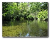 Juniper-Springs-Canoe-Run-Ocala-National-Forest-FL-066