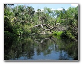 Juniper-Springs-Canoe-Run-Ocala-National-Forest-FL-067