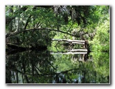 Juniper-Springs-Canoe-Run-Ocala-National-Forest-FL-068