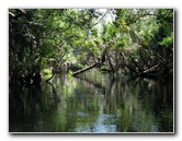 Juniper-Springs-Canoe-Run-Ocala-National-Forest-FL-069