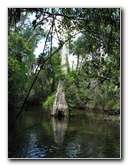 Juniper-Springs-Canoe-Run-Ocala-National-Forest-FL-076