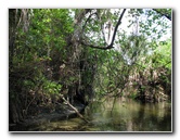 Juniper-Springs-Canoe-Run-Ocala-National-Forest-FL-080