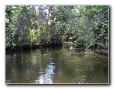 Juniper-Springs-Canoe-Run-Ocala-National-Forest-FL-081