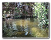 Juniper-Springs-Canoe-Run-Ocala-National-Forest-FL-083
