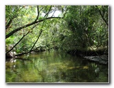 Juniper-Springs-Canoe-Run-Ocala-National-Forest-FL-088