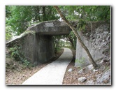 La-Chua-Trail-Paynes-Prairie-Preserve-State-Park-Gainesville-FL-006